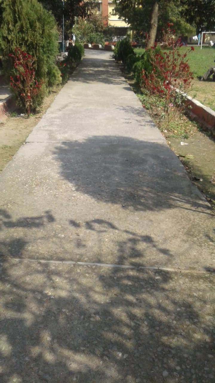 project